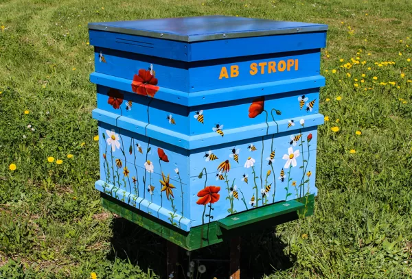 apgleznots strops